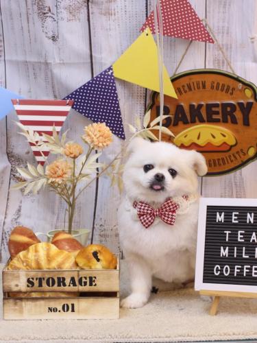 20240924ララちゃん